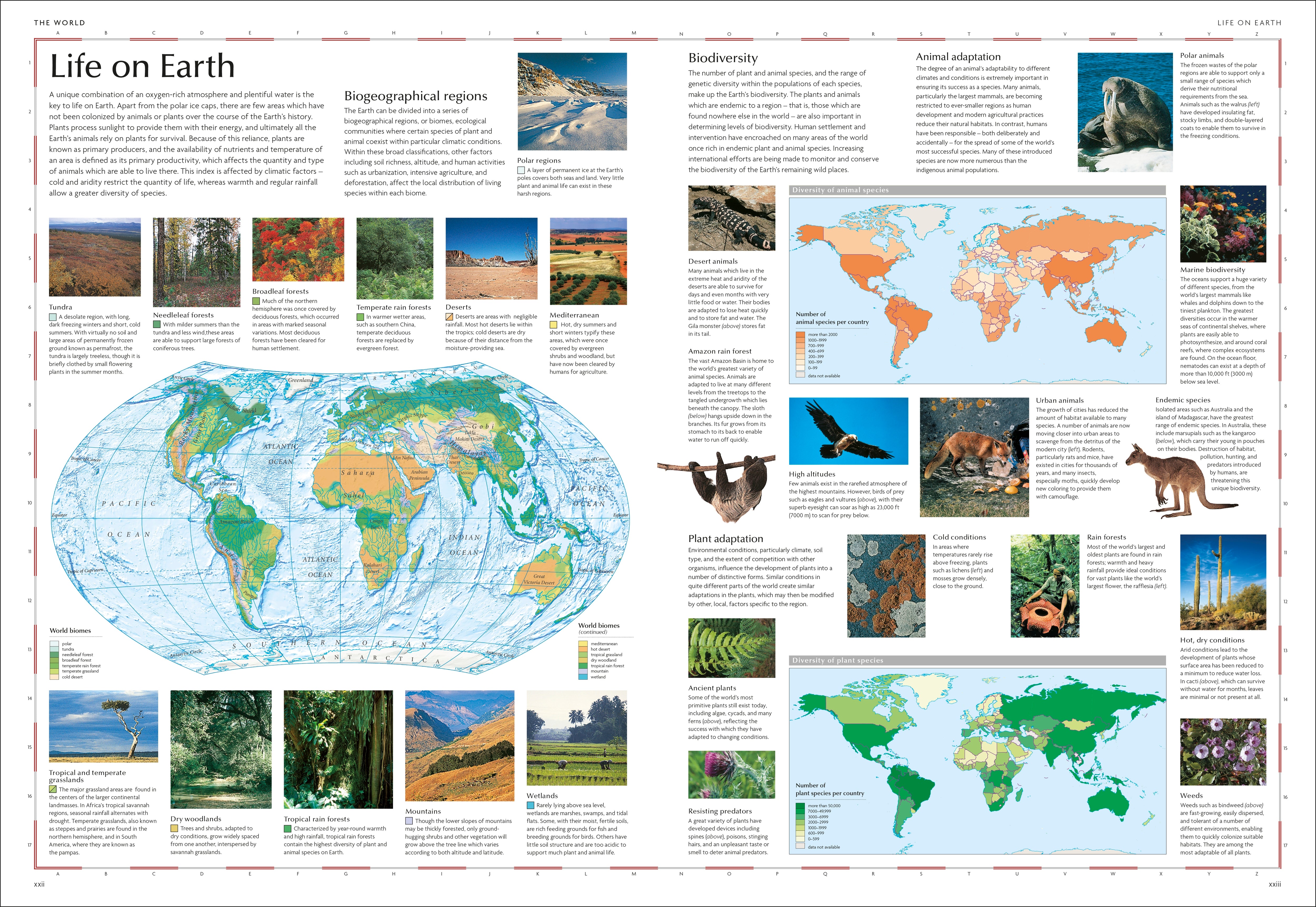 Concise World Atlas – DK