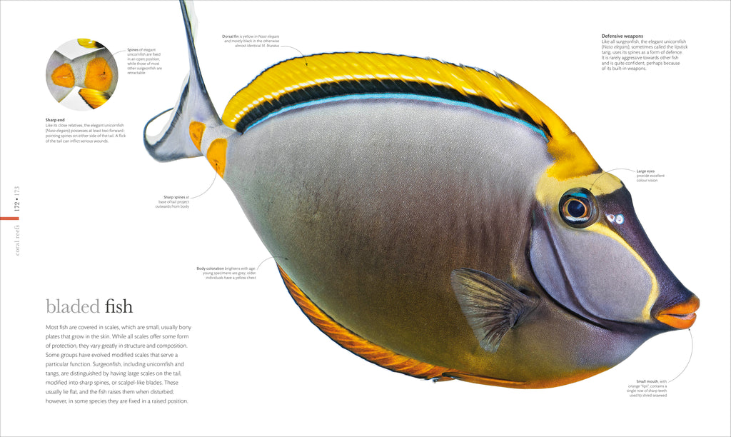 The Science of the Ocean