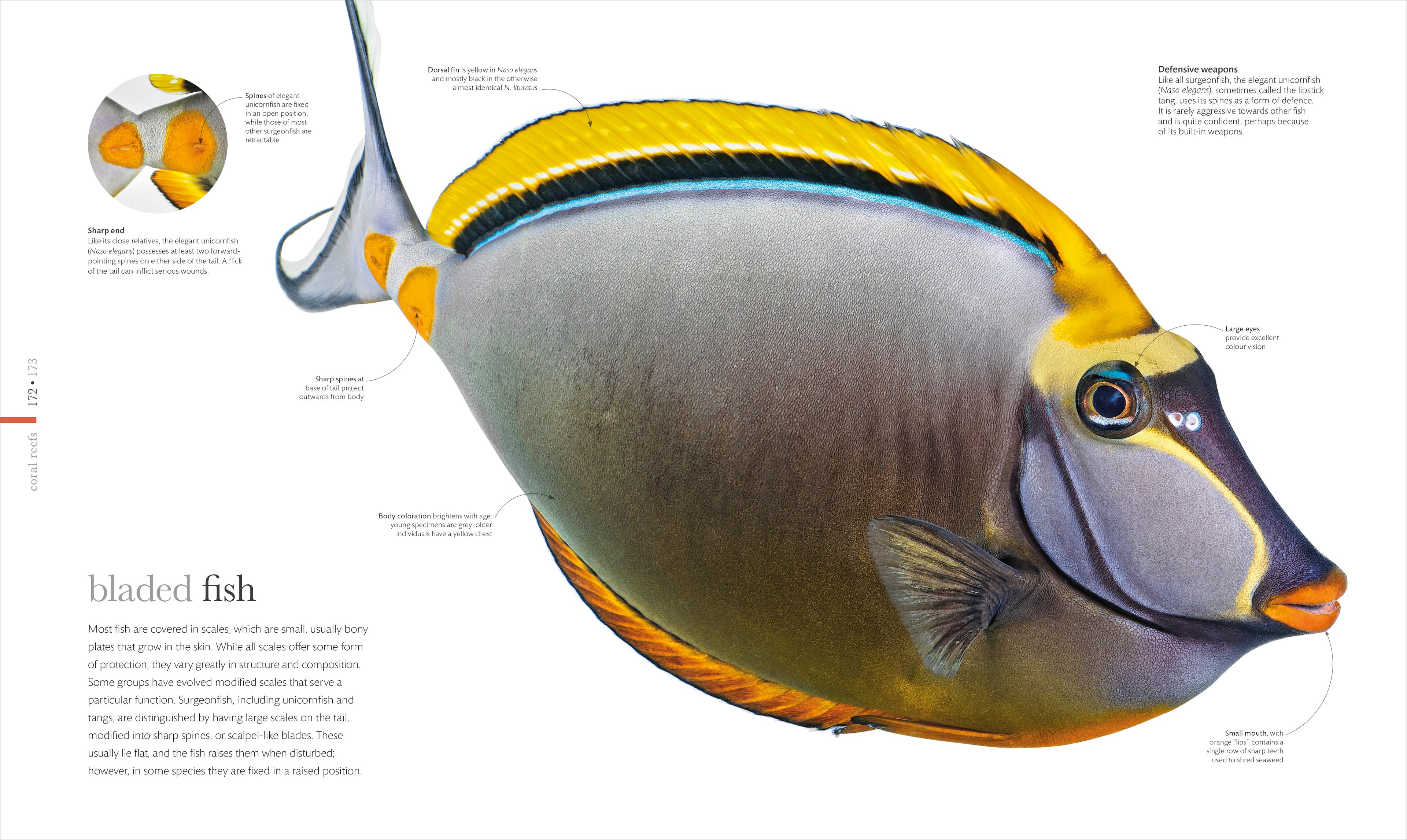 The Science of the Ocean