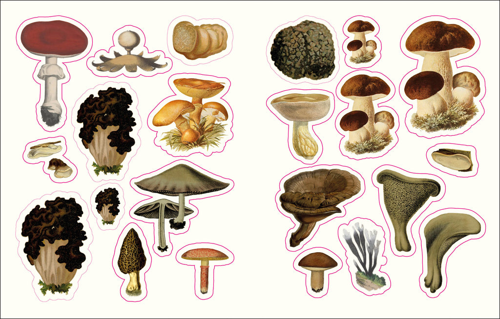 The Forests, Fairies and Fungi Sticker Anthology-image