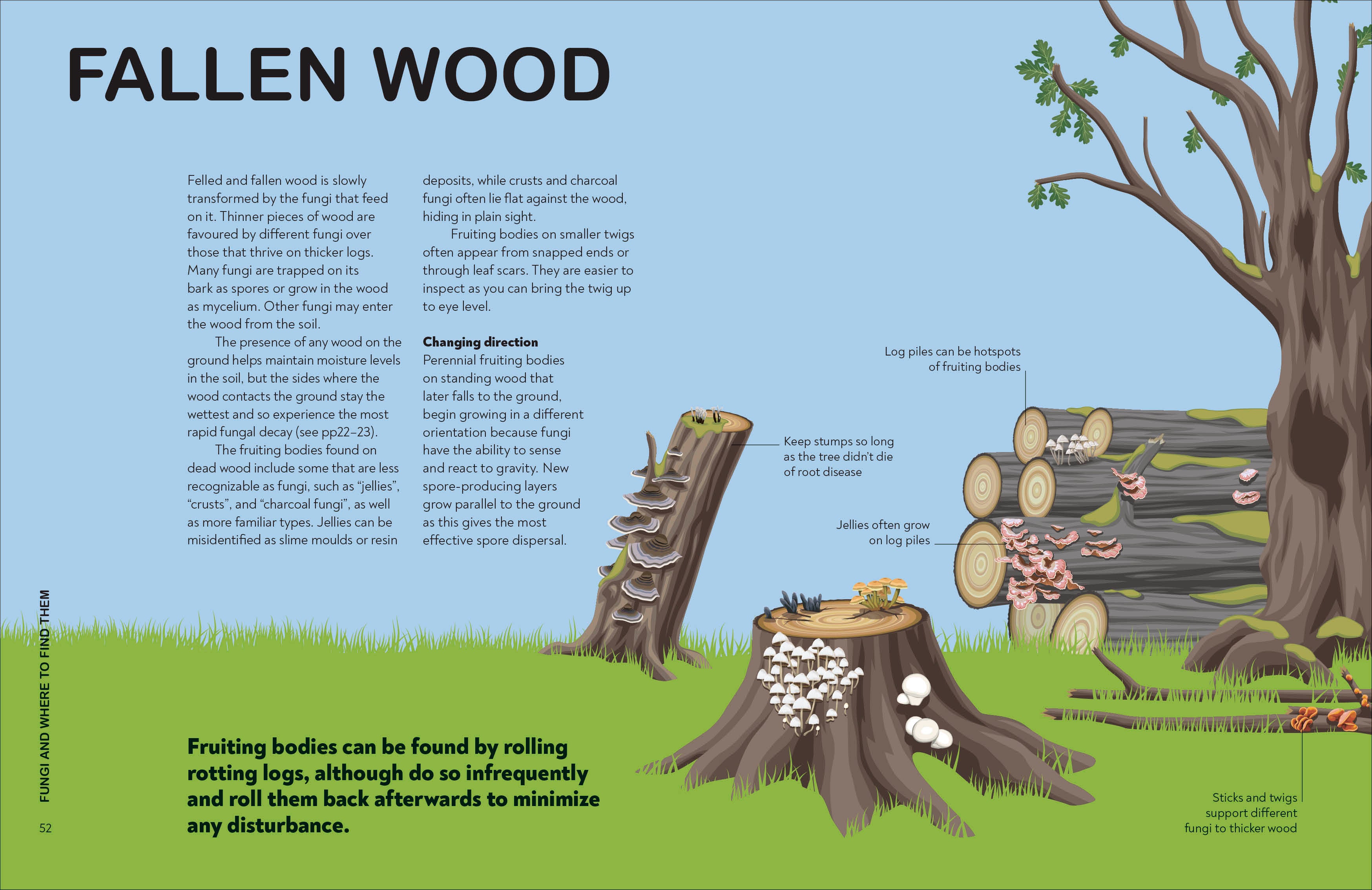RHS Fungi for Gardeners – DK