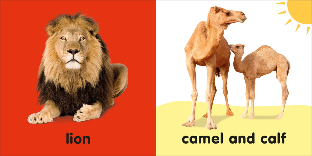 Baby Touch and Feel Bible Animals