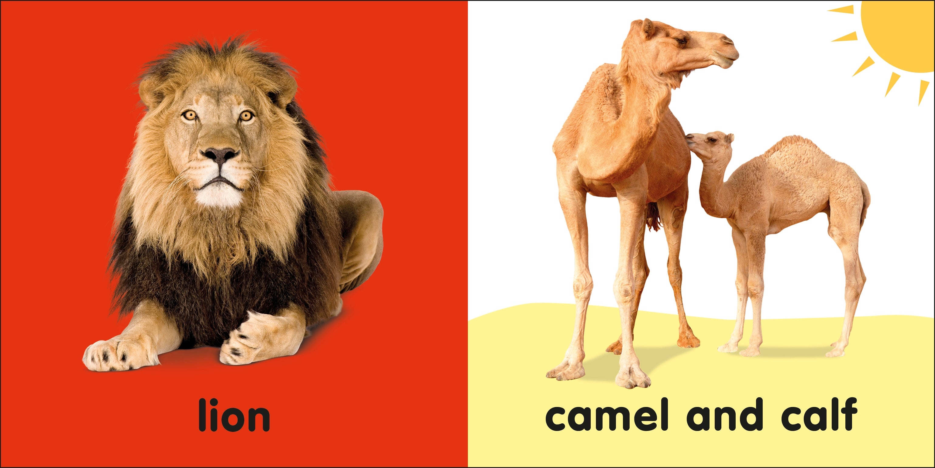 Baby Touch and Feel Bible Animals