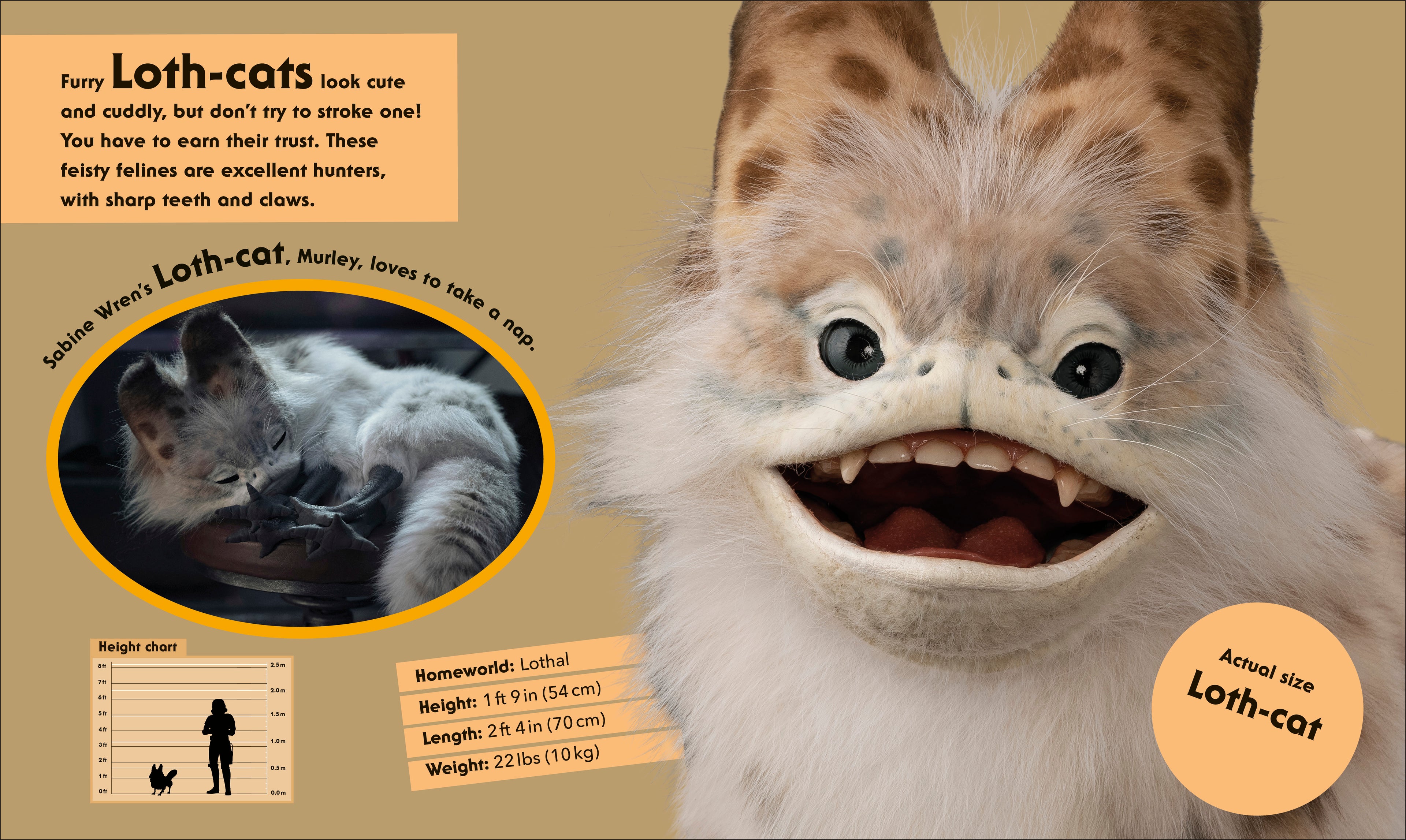 Star Wars Life Size-Spread, Image, (PRHC, Design, Do, Not, Use)-5