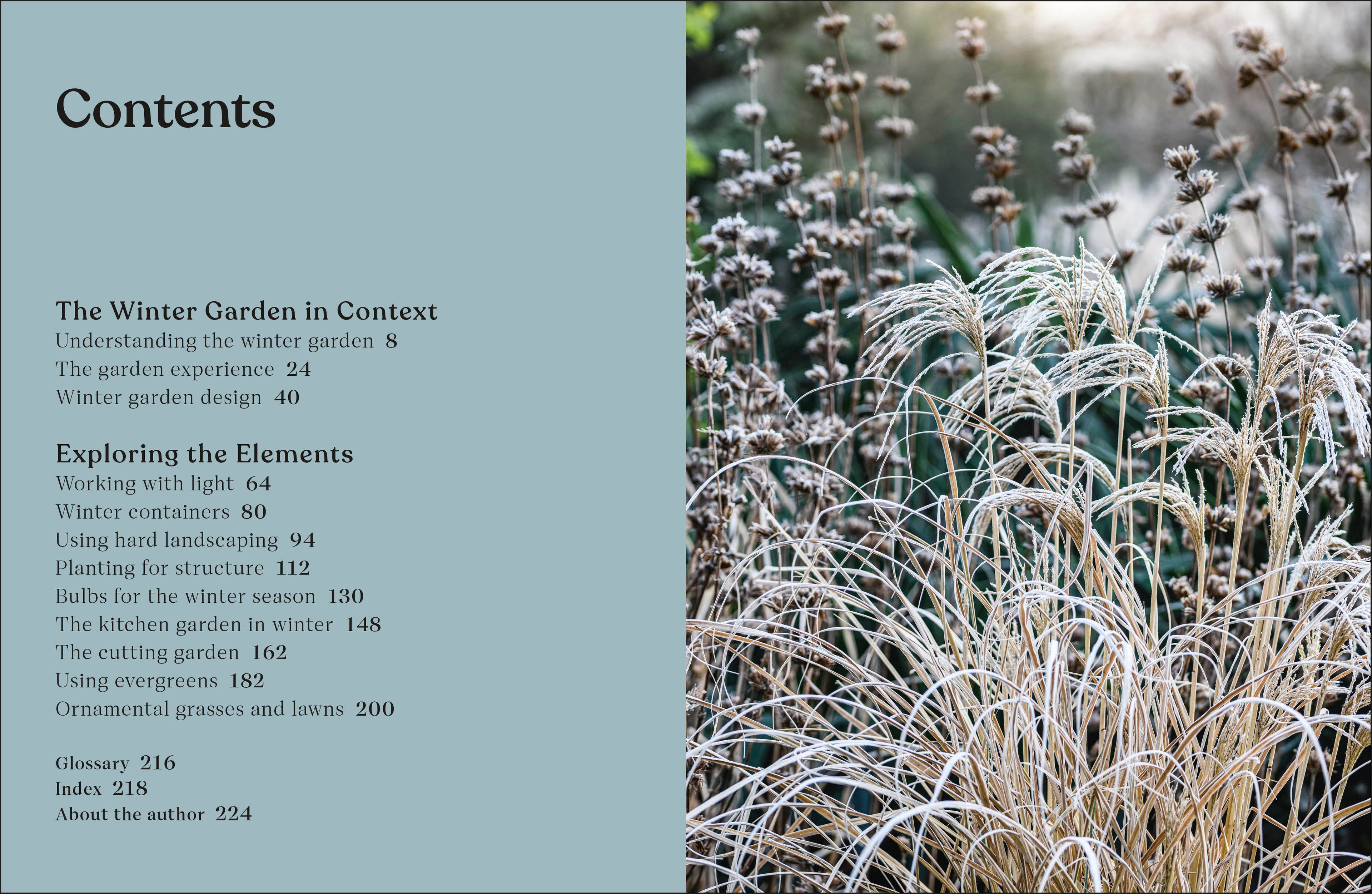 The Winter Garden-image