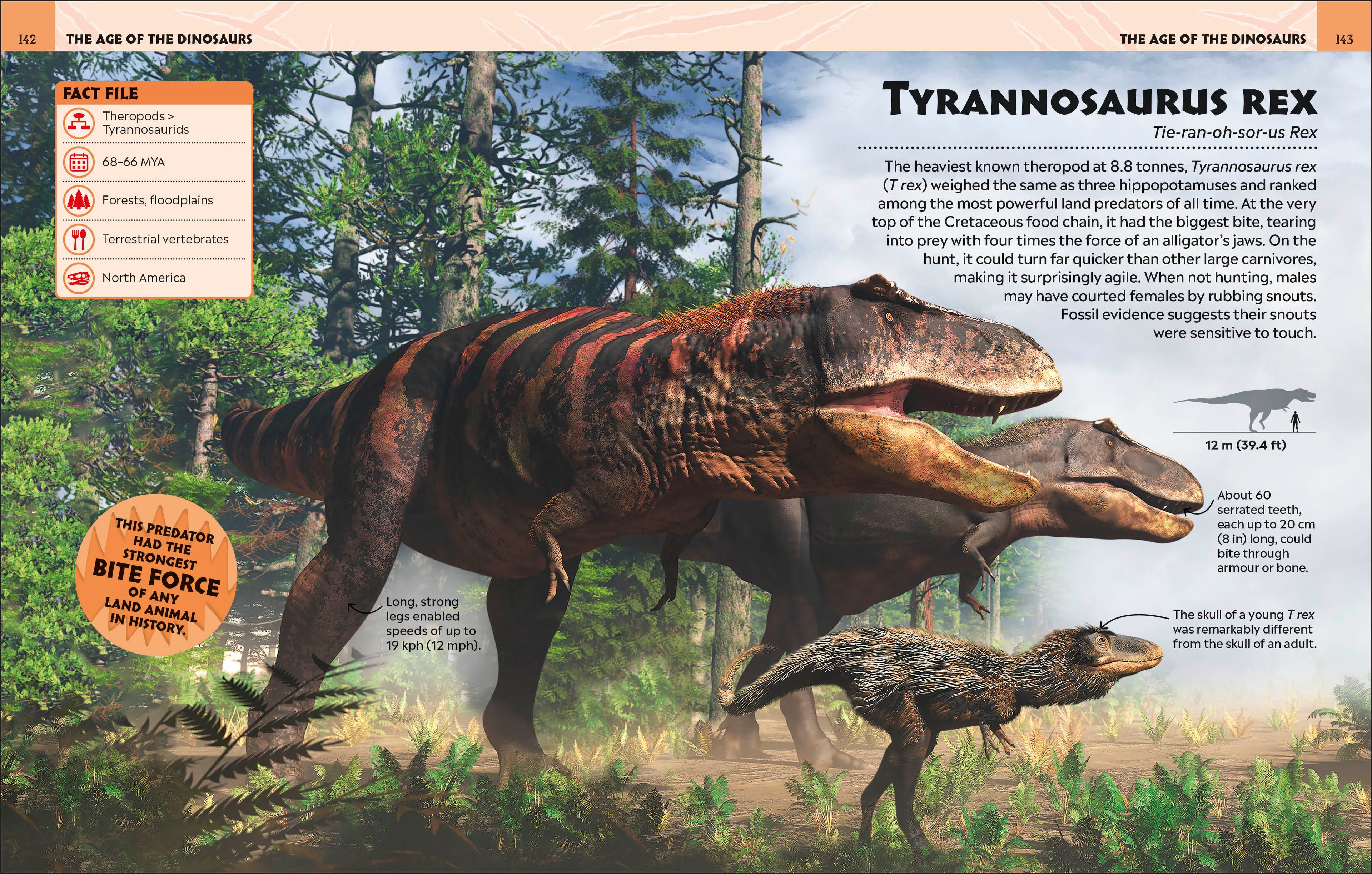 Extraordinary Dinosaurs and Other Prehistoric Life Visual Encyclopedia-spread image