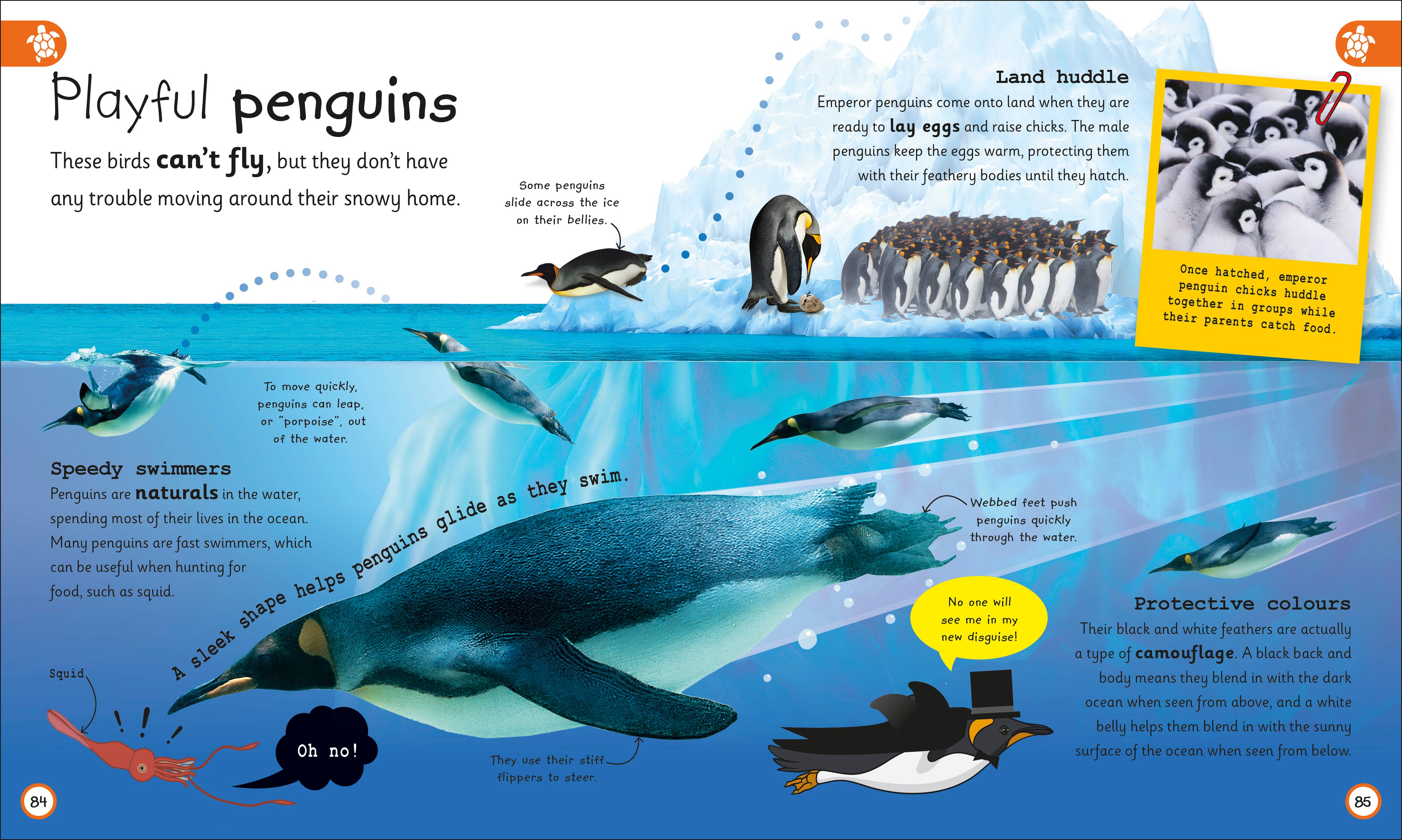 My Encyclopedia of Very Important Oceans