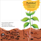 Pop-Up Peekaboo! Tree-Spread, Image, (PRHC, Design, Do, Not, Use)-1