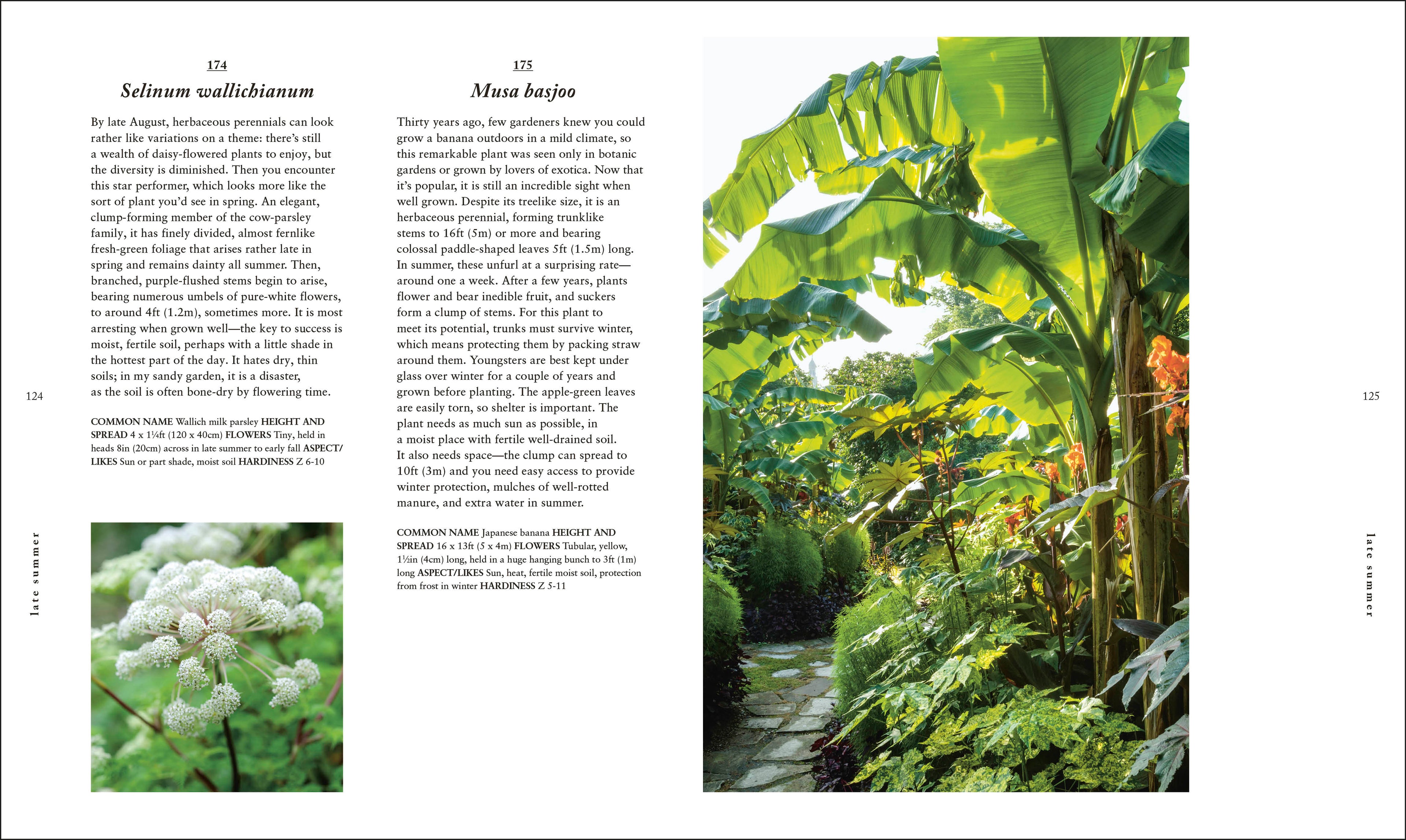 A Plant for Every Day of the Year-Spread, Image, (PRHC, Design, Do, Not, Use)-5