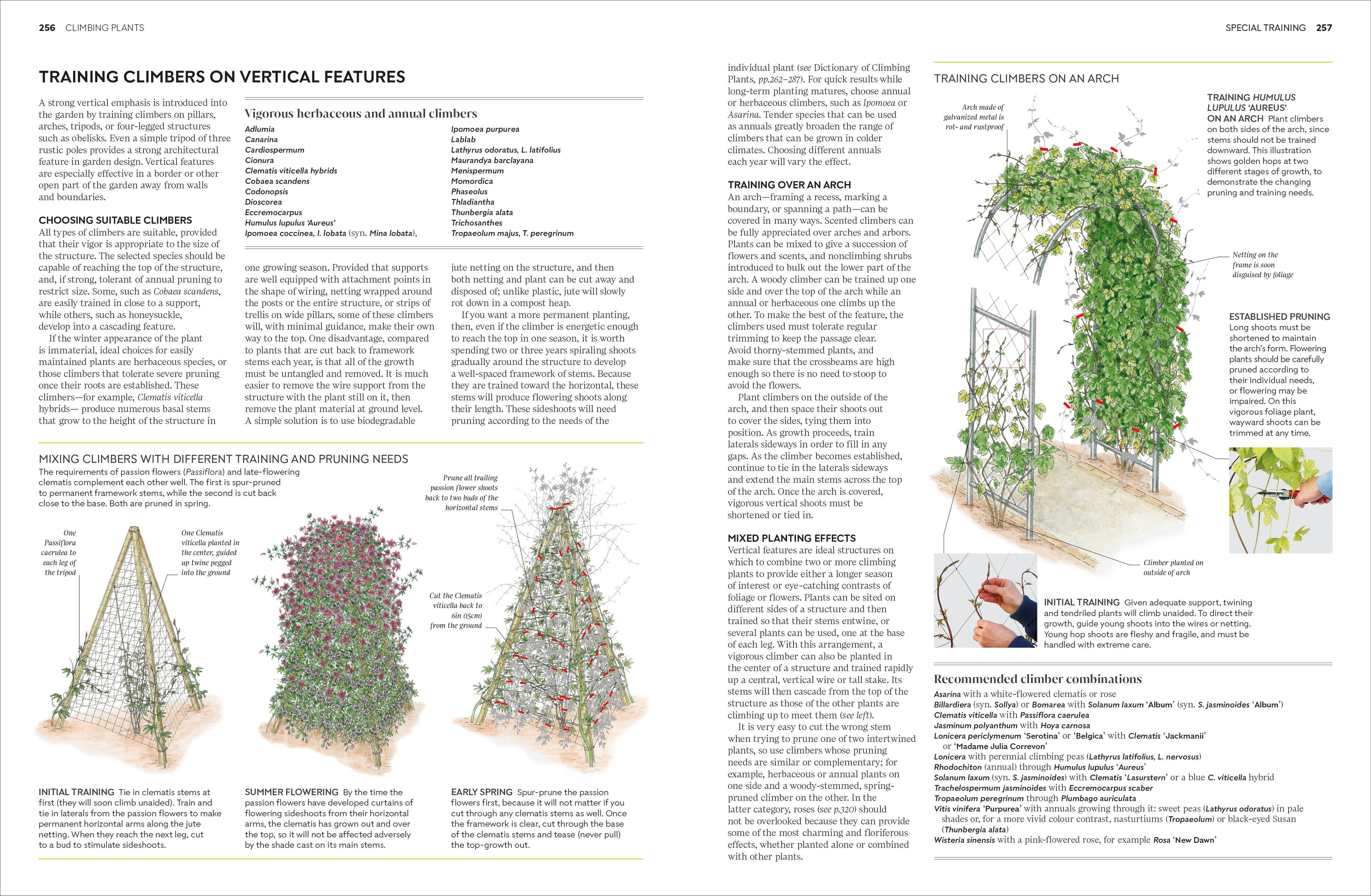 Pruning and Training-Spread, Image, (PRHC, Design, Do, Not, Use)-7