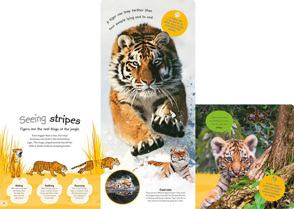 The Incredible Fold-Out Book of Animals