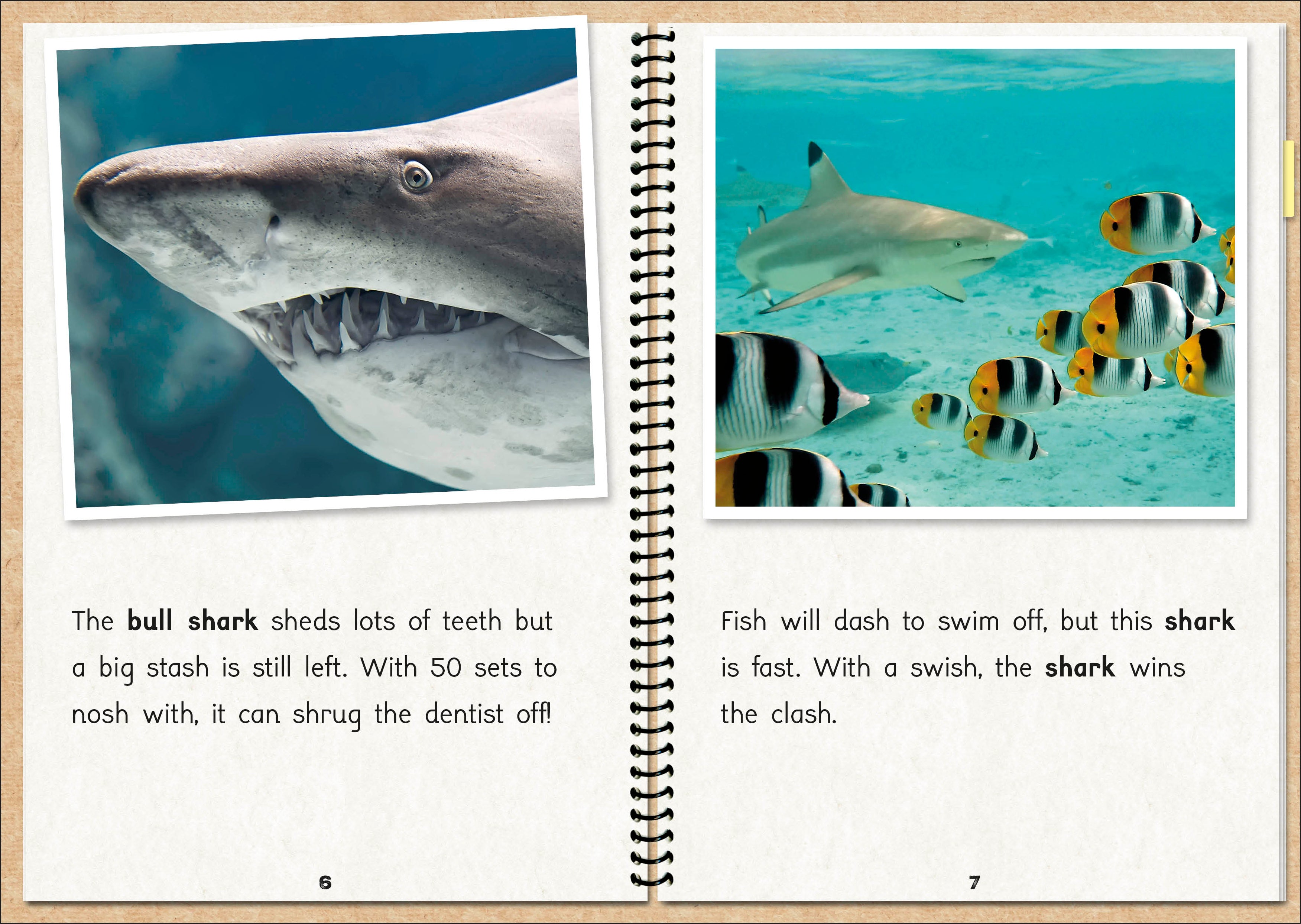 Phonic Books  The Fact Files 1