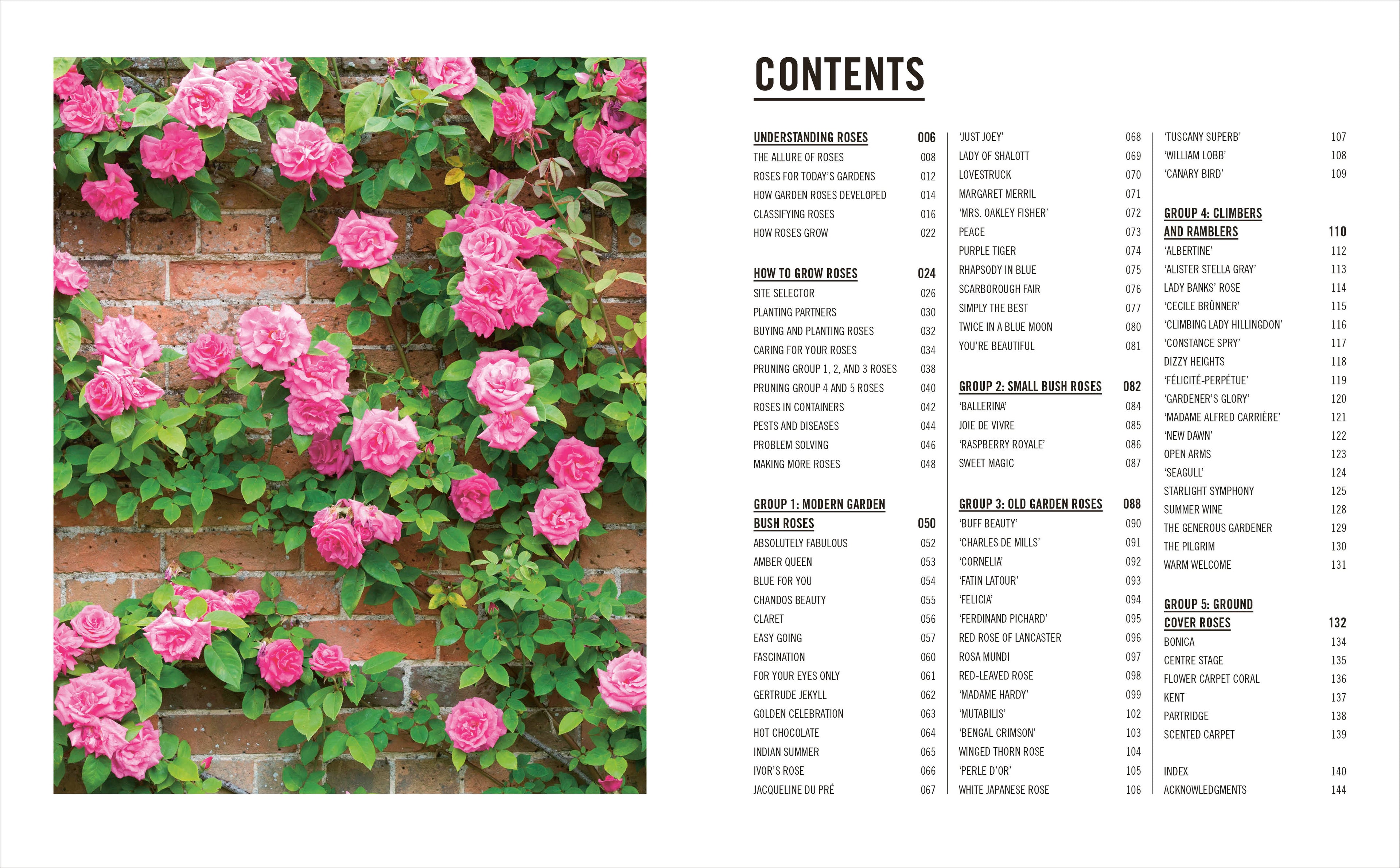 Grow Roses-Spread, Image, (PRHC, Design, Do, Not, Use)-1