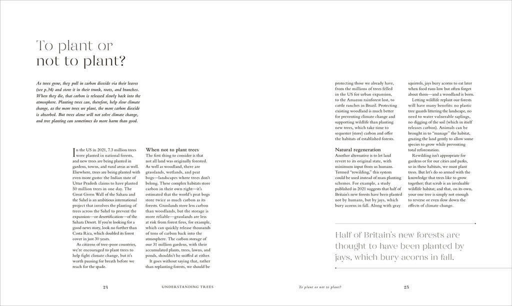 The Tree in My Garden-Spread, Image, (PRHC, Design, Do, Not, Use)-7