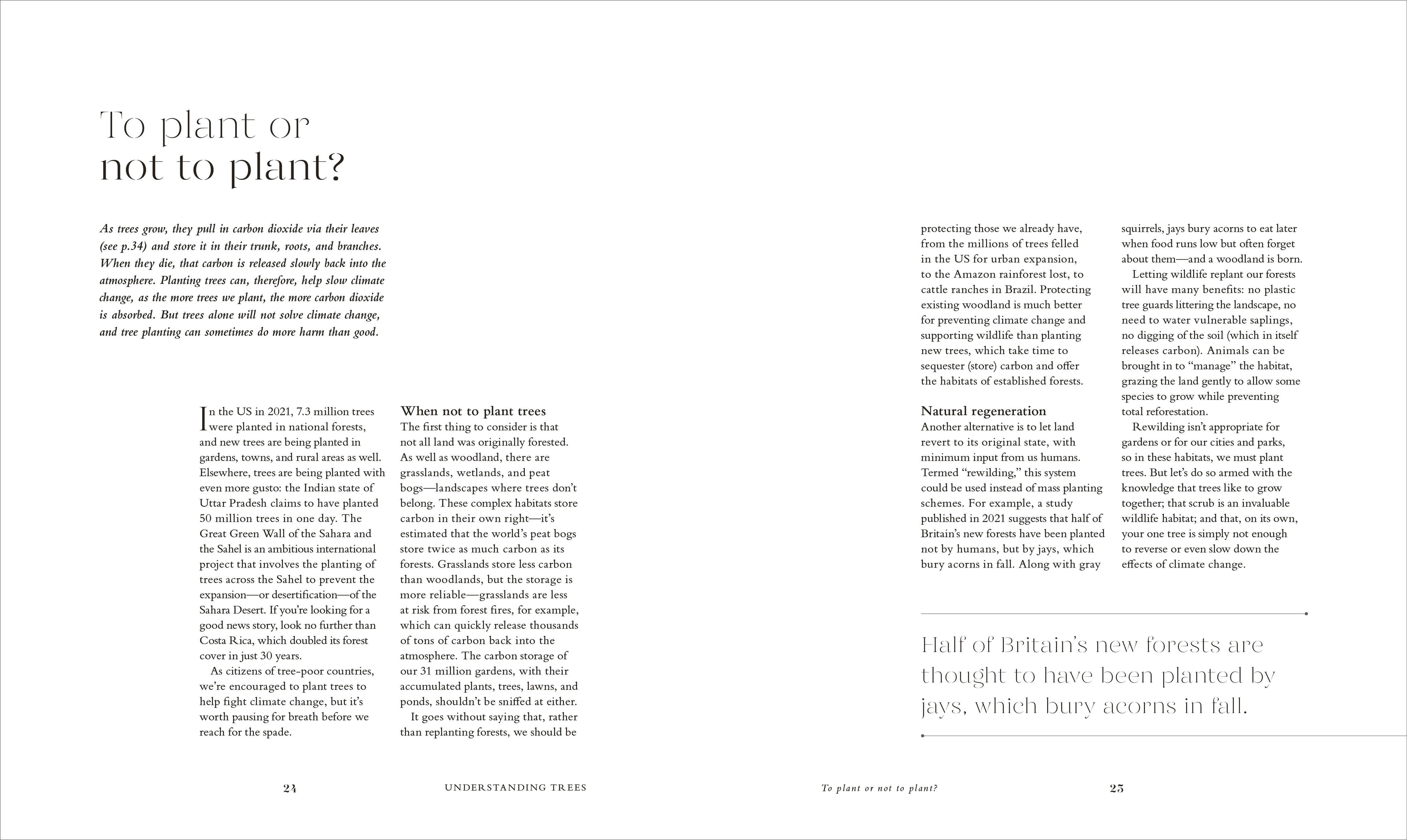 The Tree in My Garden-Spread, Image, (PRHC, Design, Do, Not, Use)-7