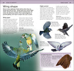 RSPB Pocket Garden Birdwatch