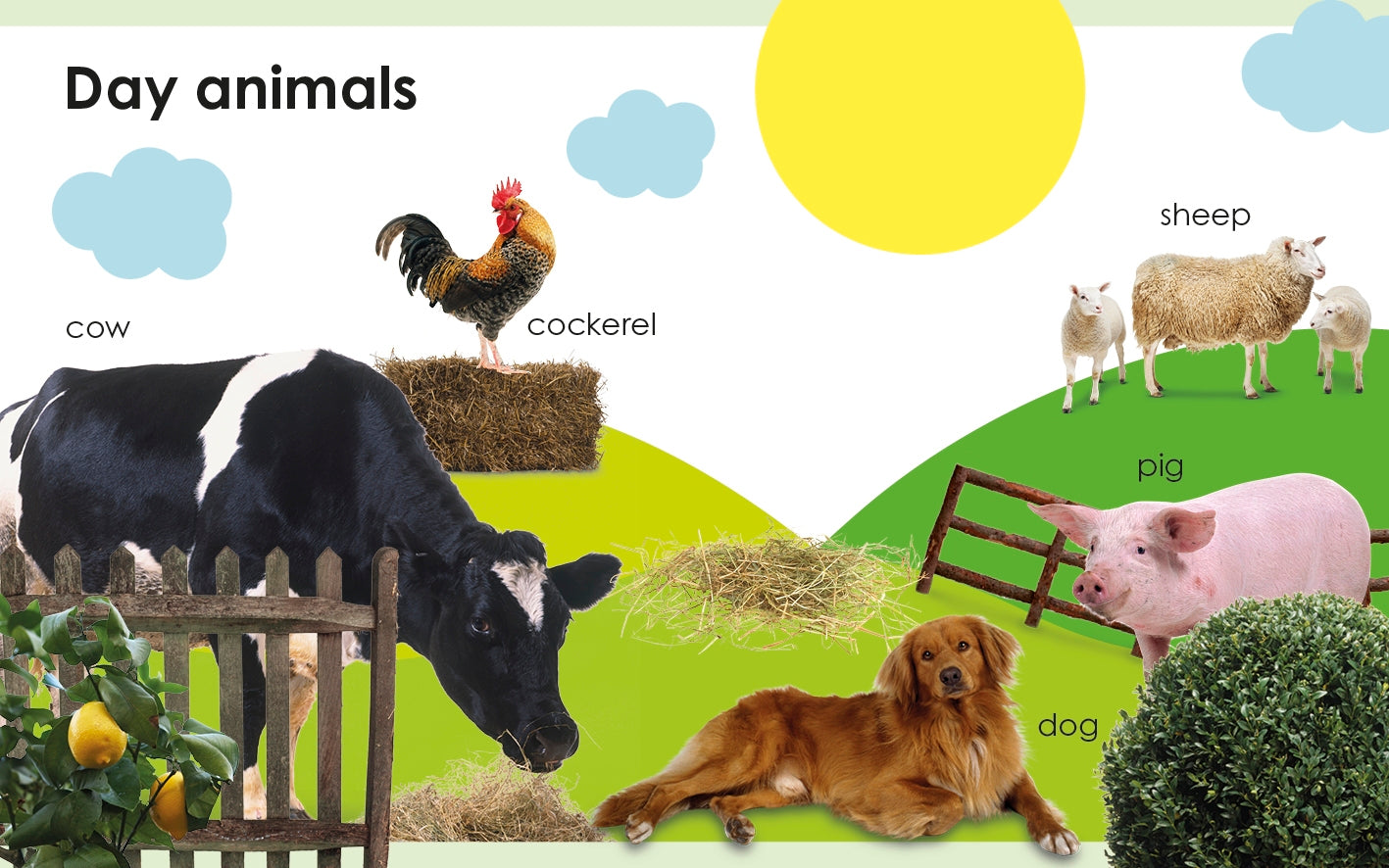 My First Day and Night