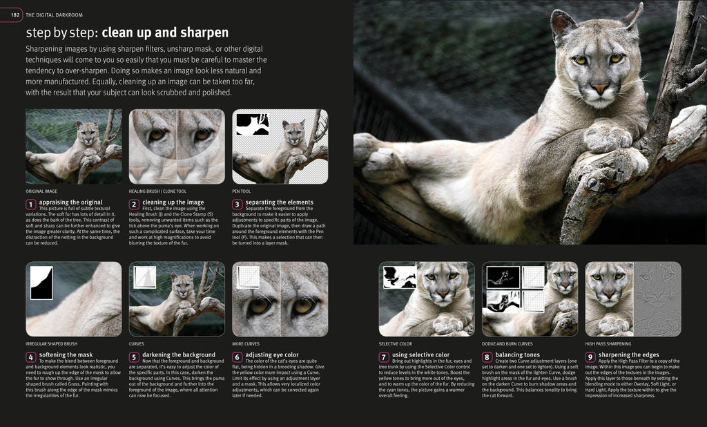 Digital Photography Masterclass