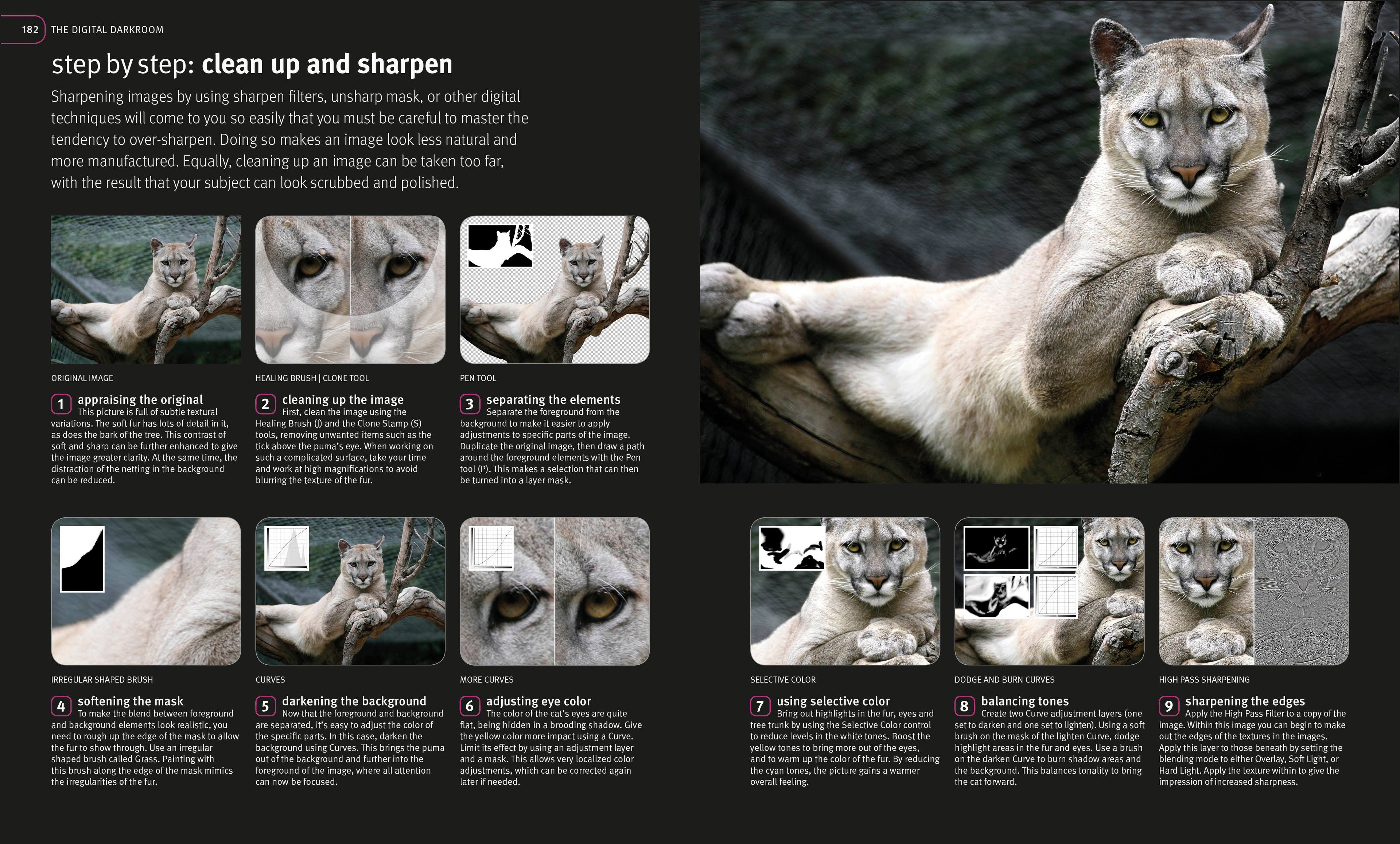 Digital Photography Masterclass