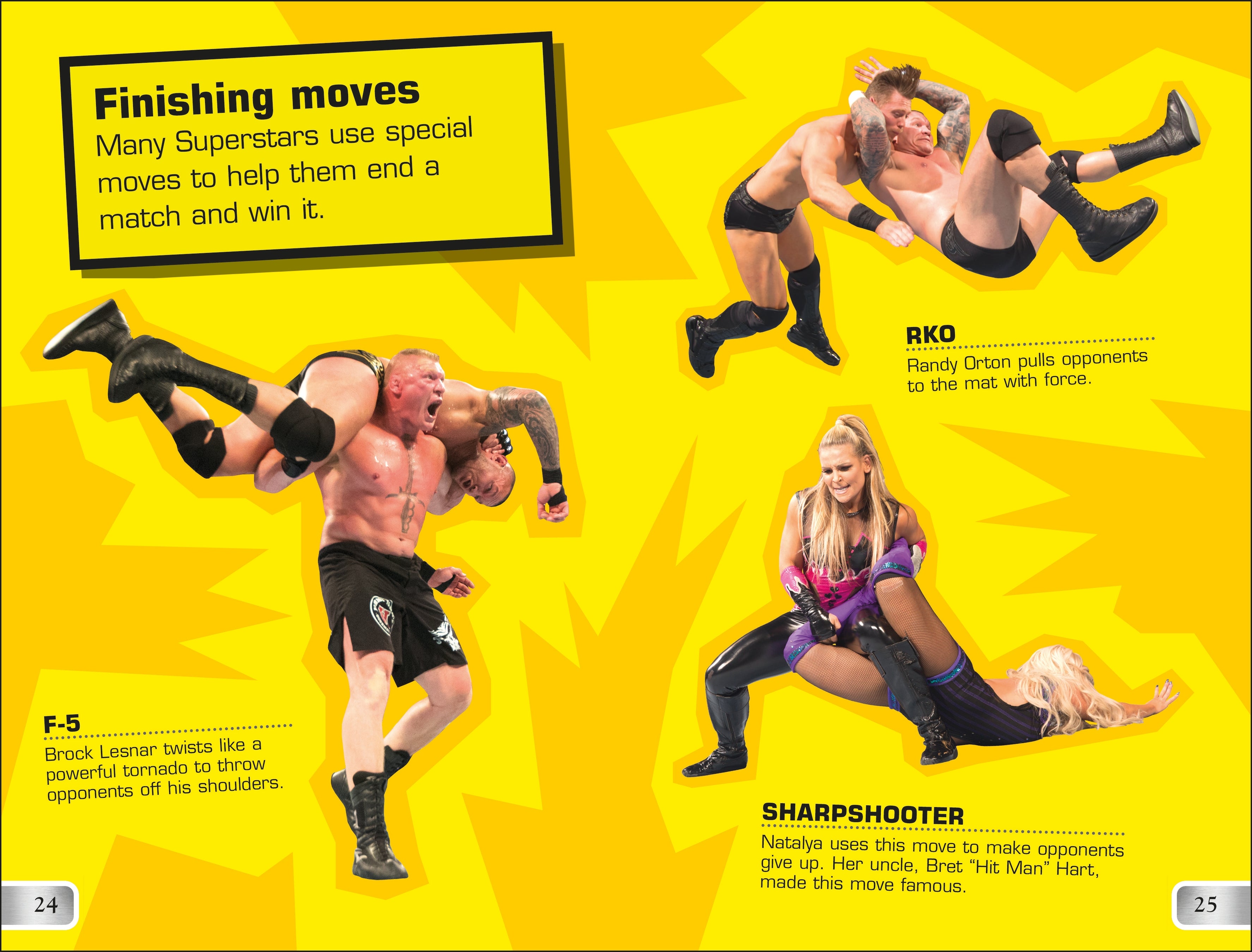 WWE How To Win In The Ring