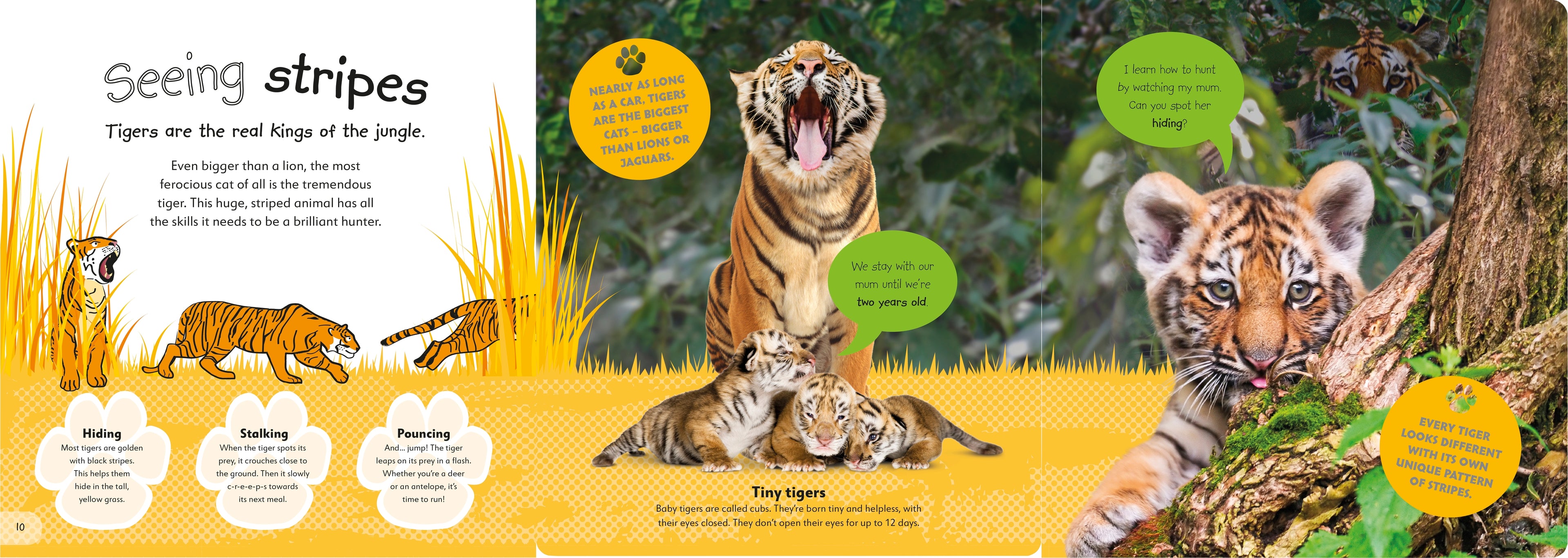 The Incredible Fold-Out Book of Animals