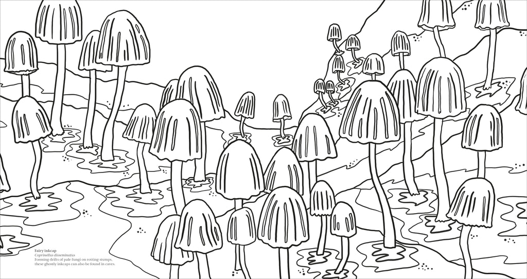 Fascinating Fungi Colouring Book-Spread, Image, (PRHC, Design, Do, Not, Use)-6