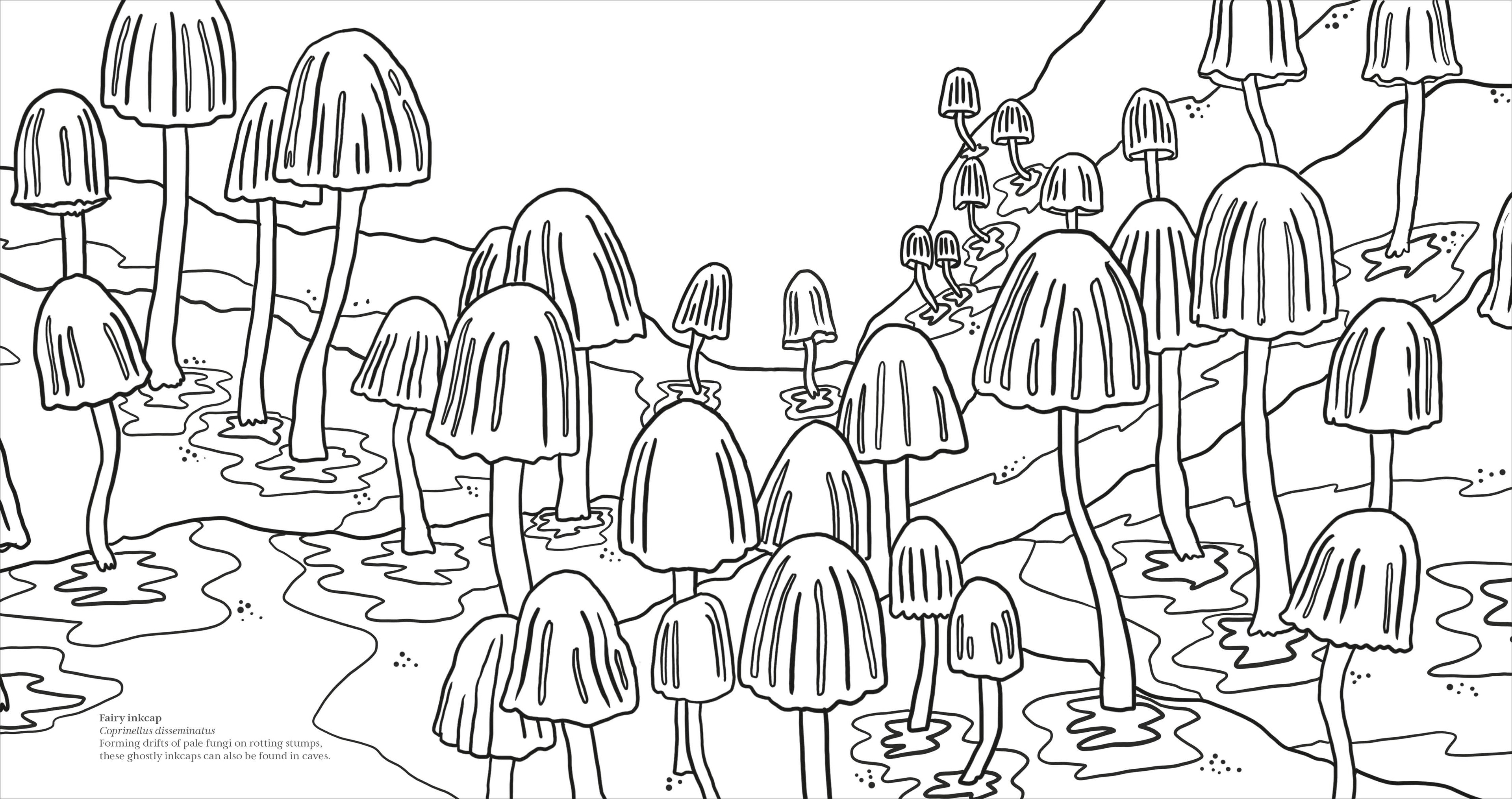 Fascinating Fungi Colouring Book-Spread, Image, (PRHC, Design, Do, Not, Use)-6