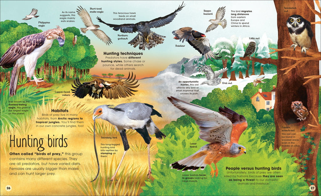 The Extraordinary World of Birds-Spread, Image, (PRHC, Design, Do, Not, Use)-2