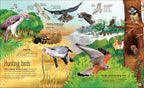 The Extraordinary World of Birds-Spread, Image, (PRHC, Design, Do, Not, Use)-2