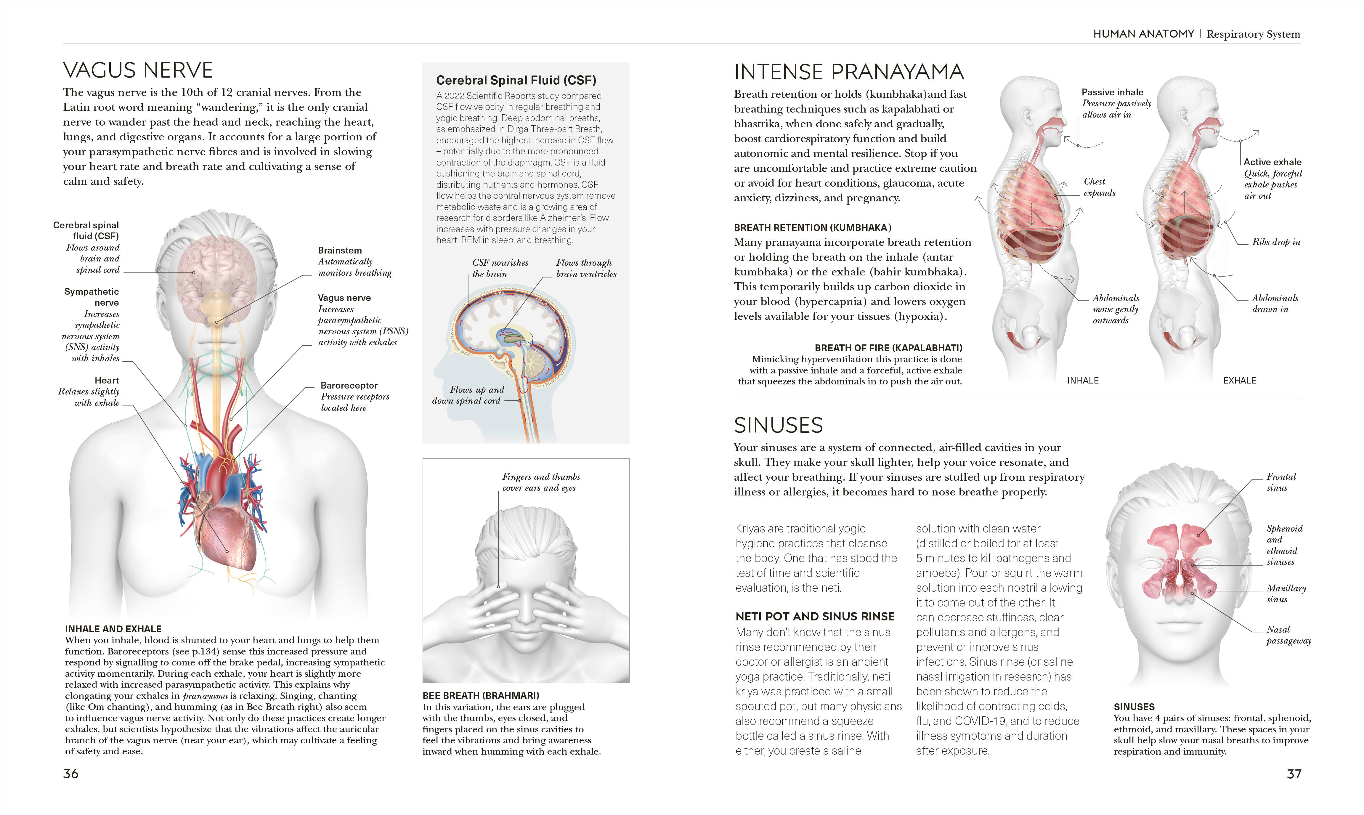 Science of Yoga – DK