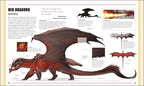 Dungeons & Dragons The Book of Dragons