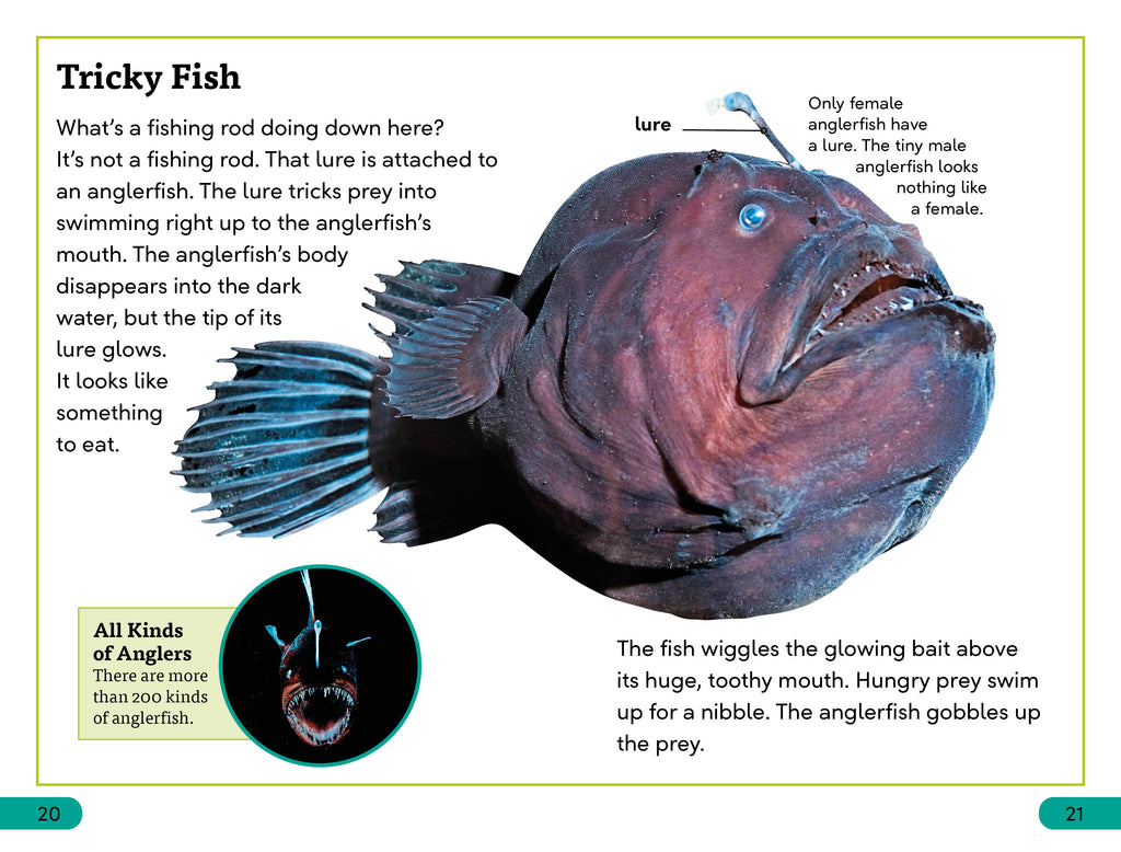 DK Super Readers Level 3 Deep-Sea Creatures