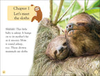 DK Readers Level 2: Sloths