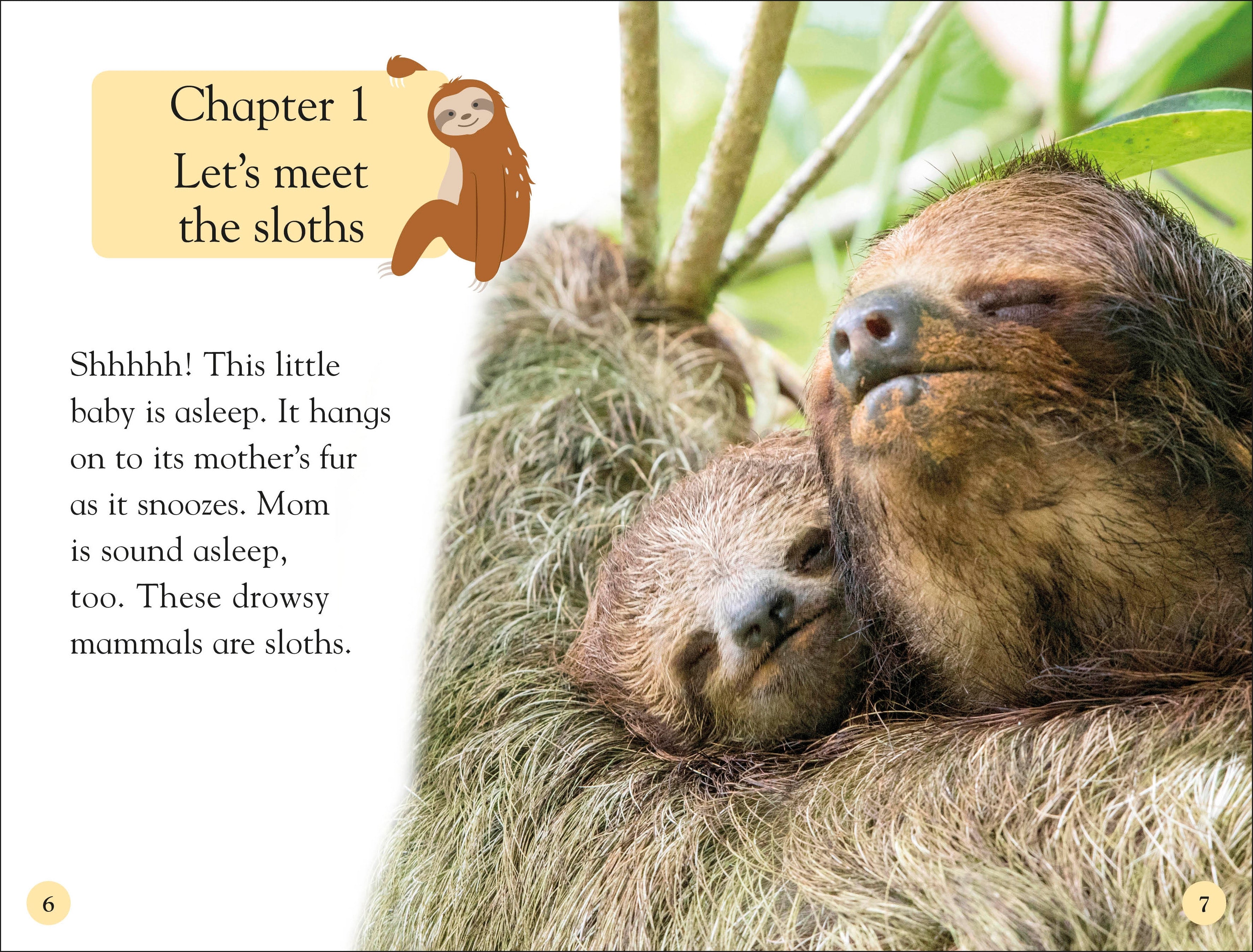 DK Readers Level 2: Sloths