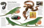 DK Eyewitness Books: Reptile
