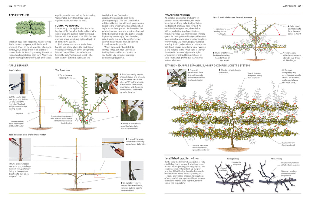 RHS Pruning and Training-Spread, Image, (PRHC, Design, Do, Not, Use)-4