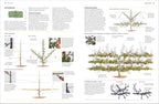 RHS Pruning and Training-Spread, Image, (PRHC, Design, Do, Not, Use)-4