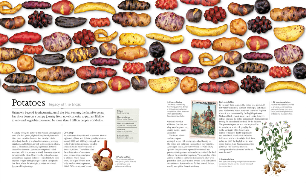 The Food Book-Spread, Image, (PRHC, Design, Do, Not, Use)-2