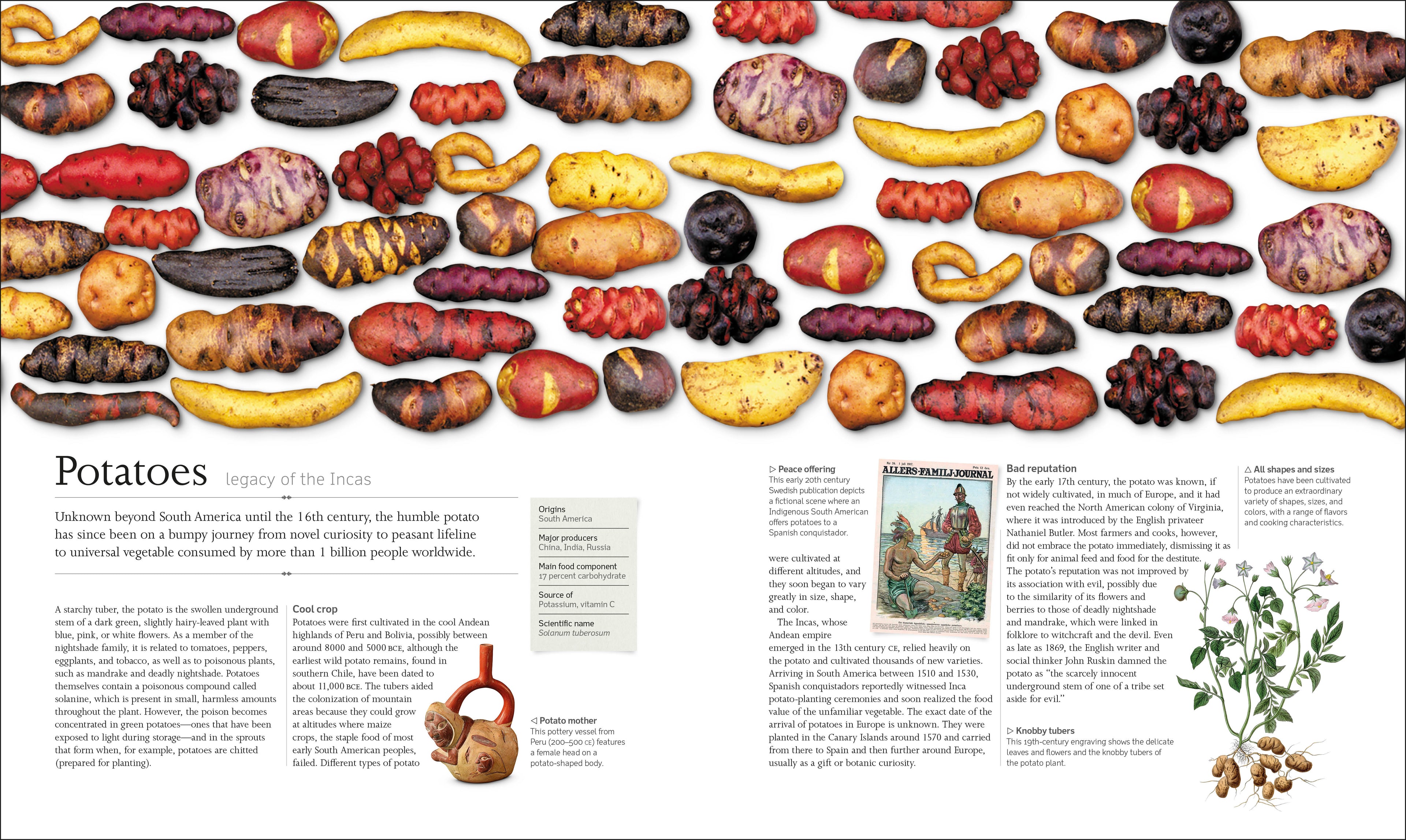 The Food Book-Spread, Image, (PRHC, Design, Do, Not, Use)-2