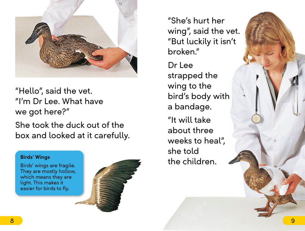 DK Super Readers Level 2 Animal Hospital