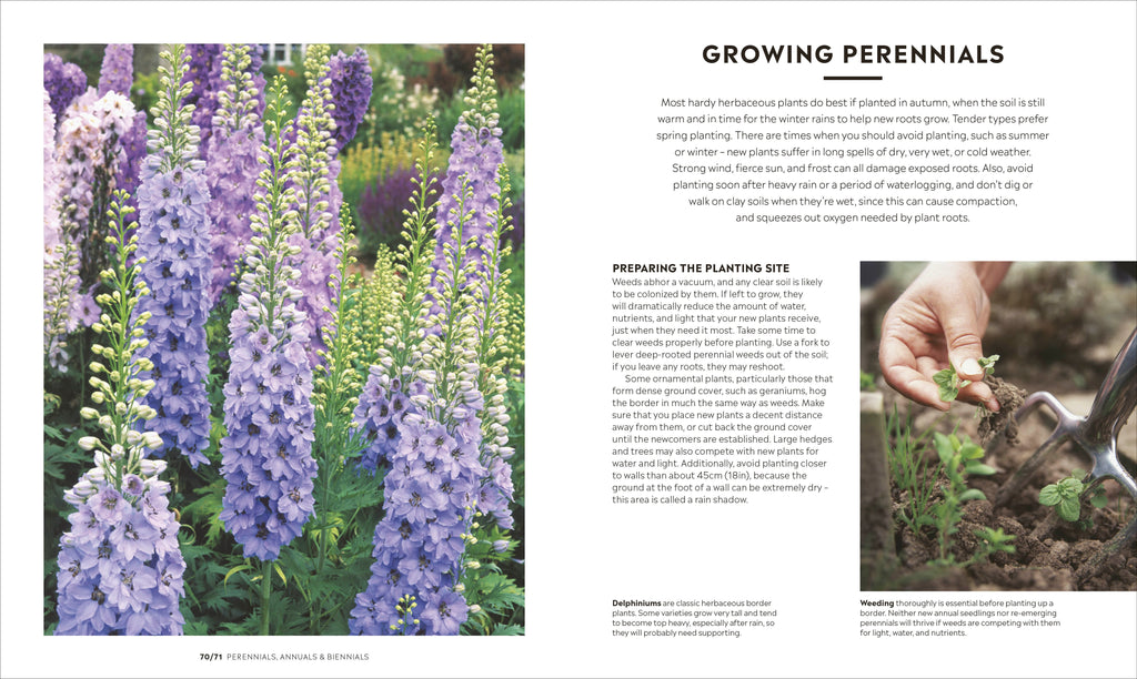 RHS How to Garden New Edition