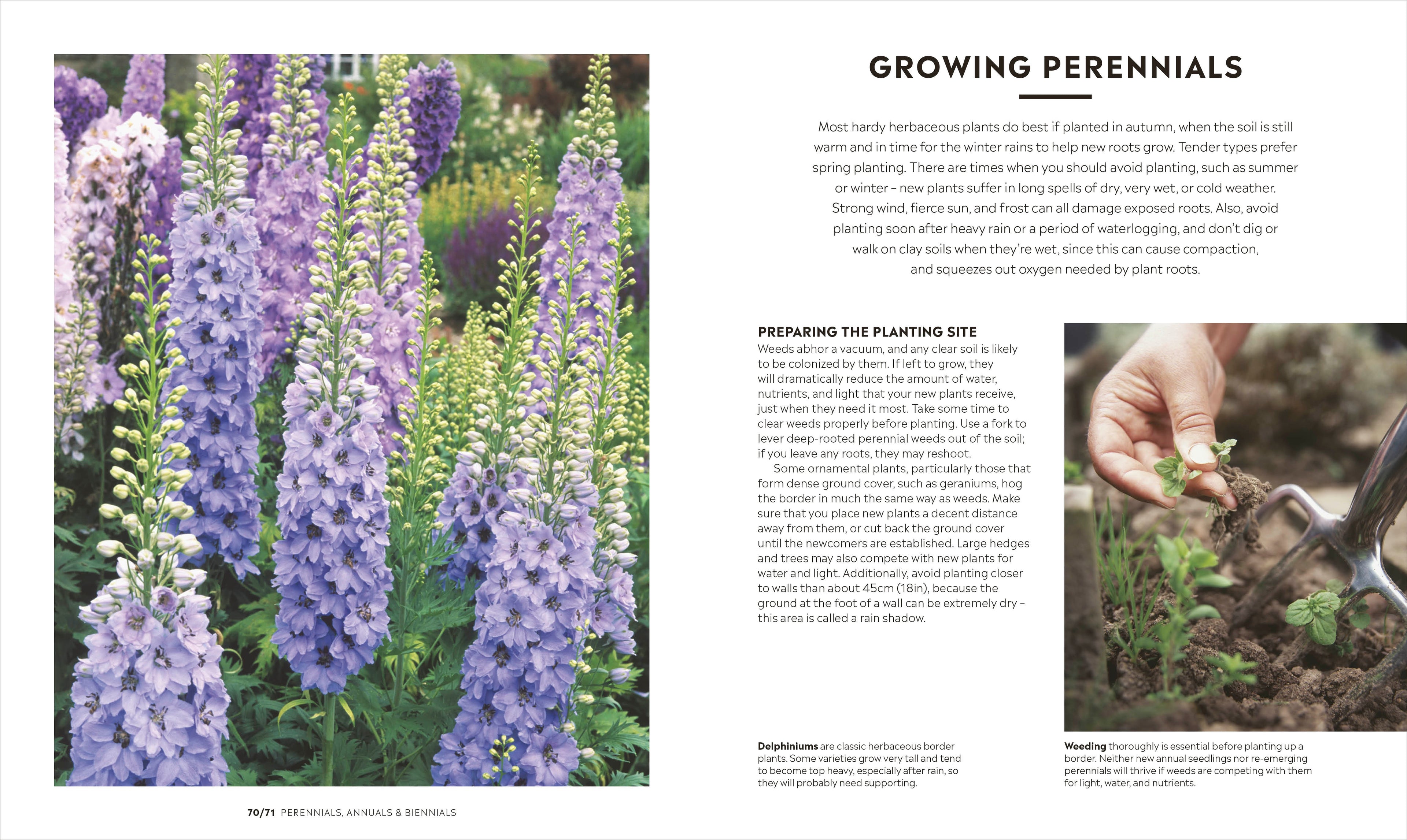 RHS How to Garden New Edition