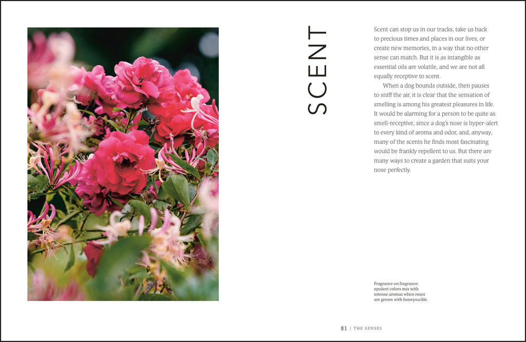 Garden for the Senses-Spread, Image, (PRHC, Design, Do, Not, Use)-4