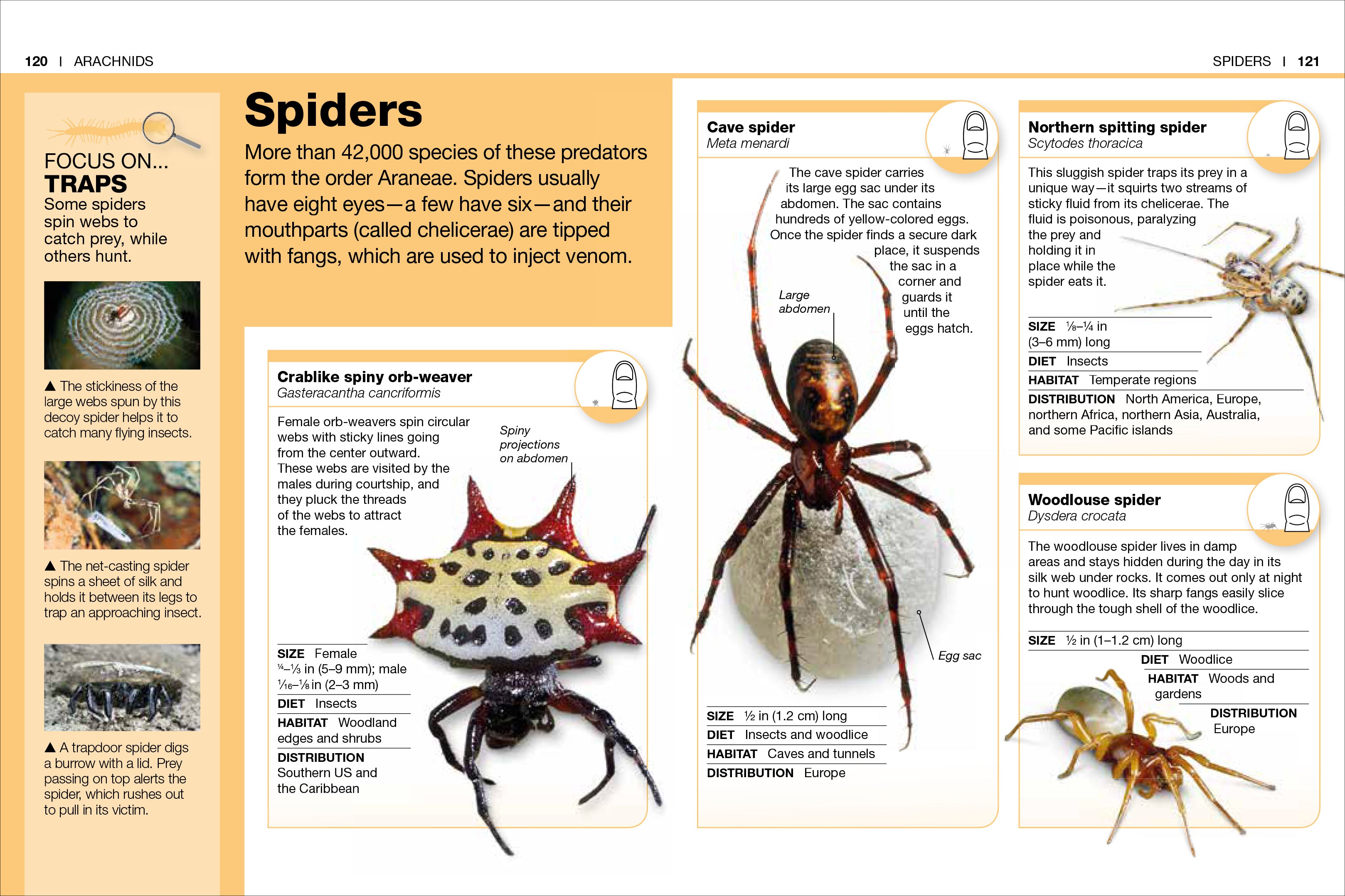 Pocket Genius Nature Collection Box Set-image