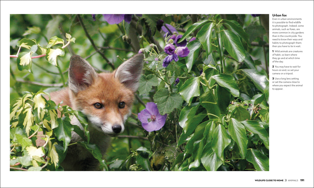 How to Photograph Absolutely Everything-Spread, Image, (PRHC, Design, Do, Not, Use)-11