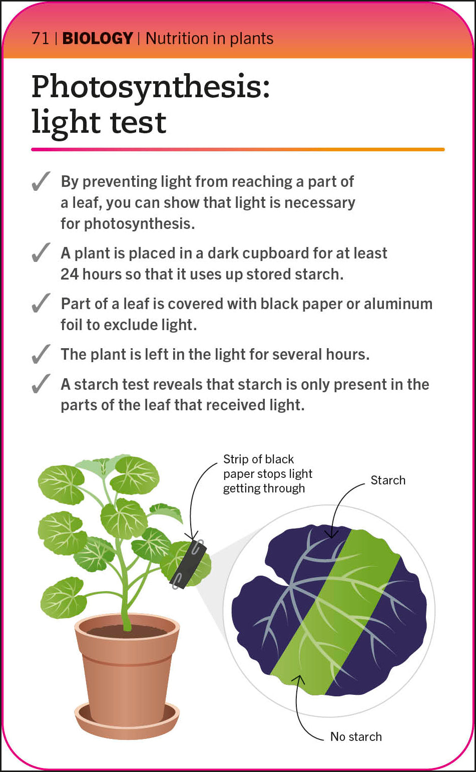 Super Simple Biology Flash Cards-Spread, Image, (PRHC, Design, Do, Not, Use)-3
