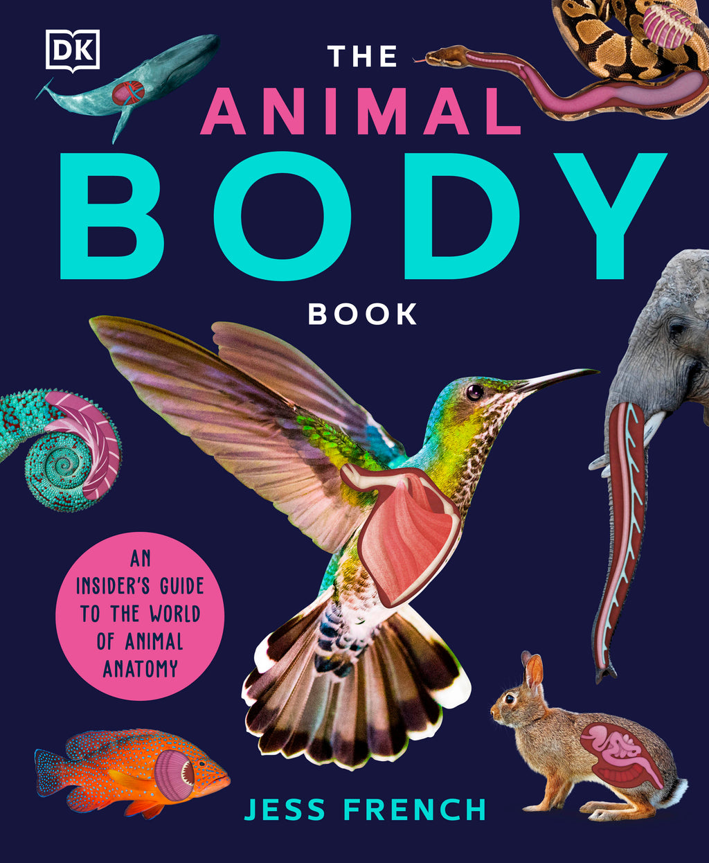 The Animal Body Book-Jacket, Image-1