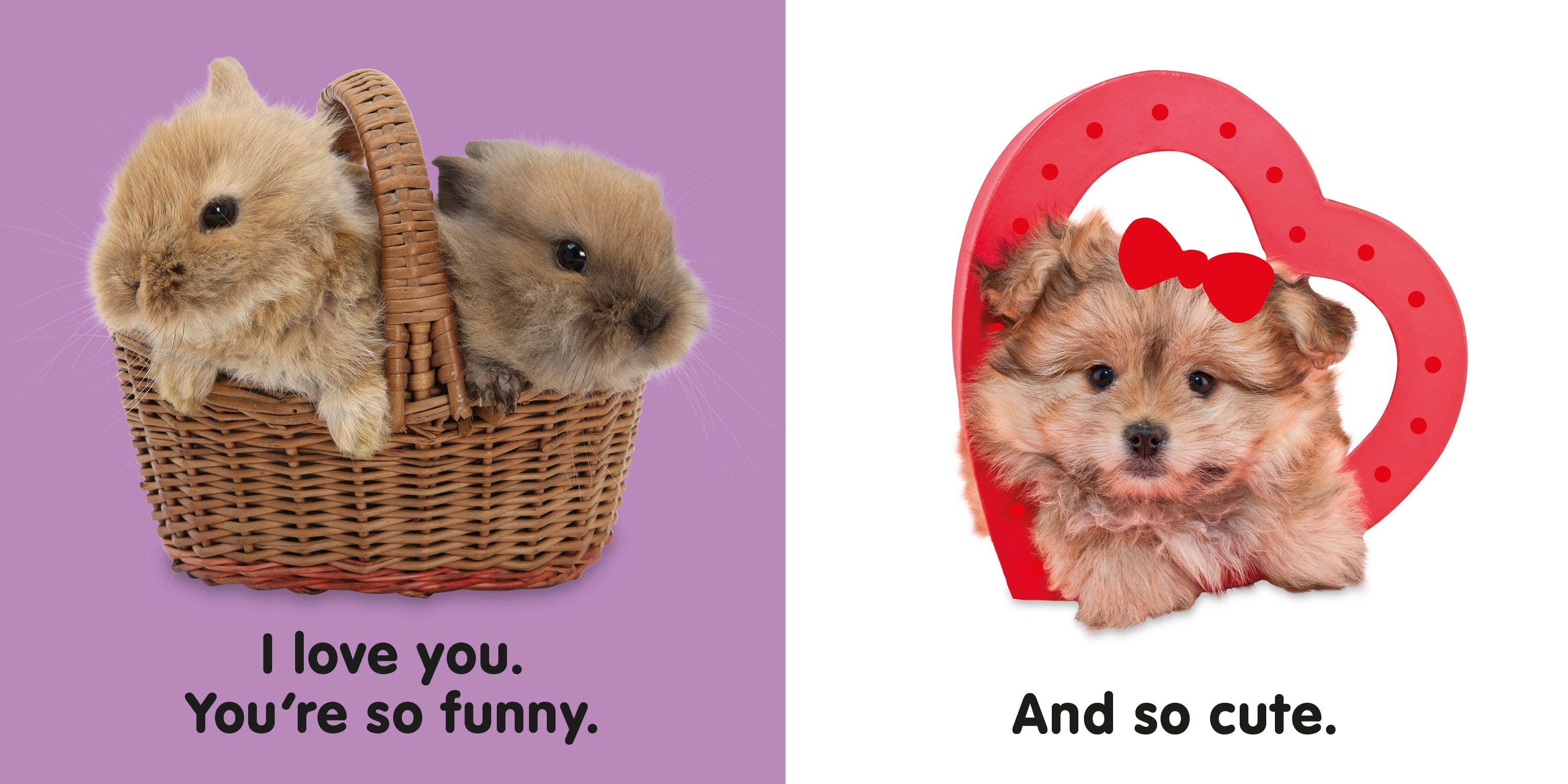 Baby Touch and Feel I Love You