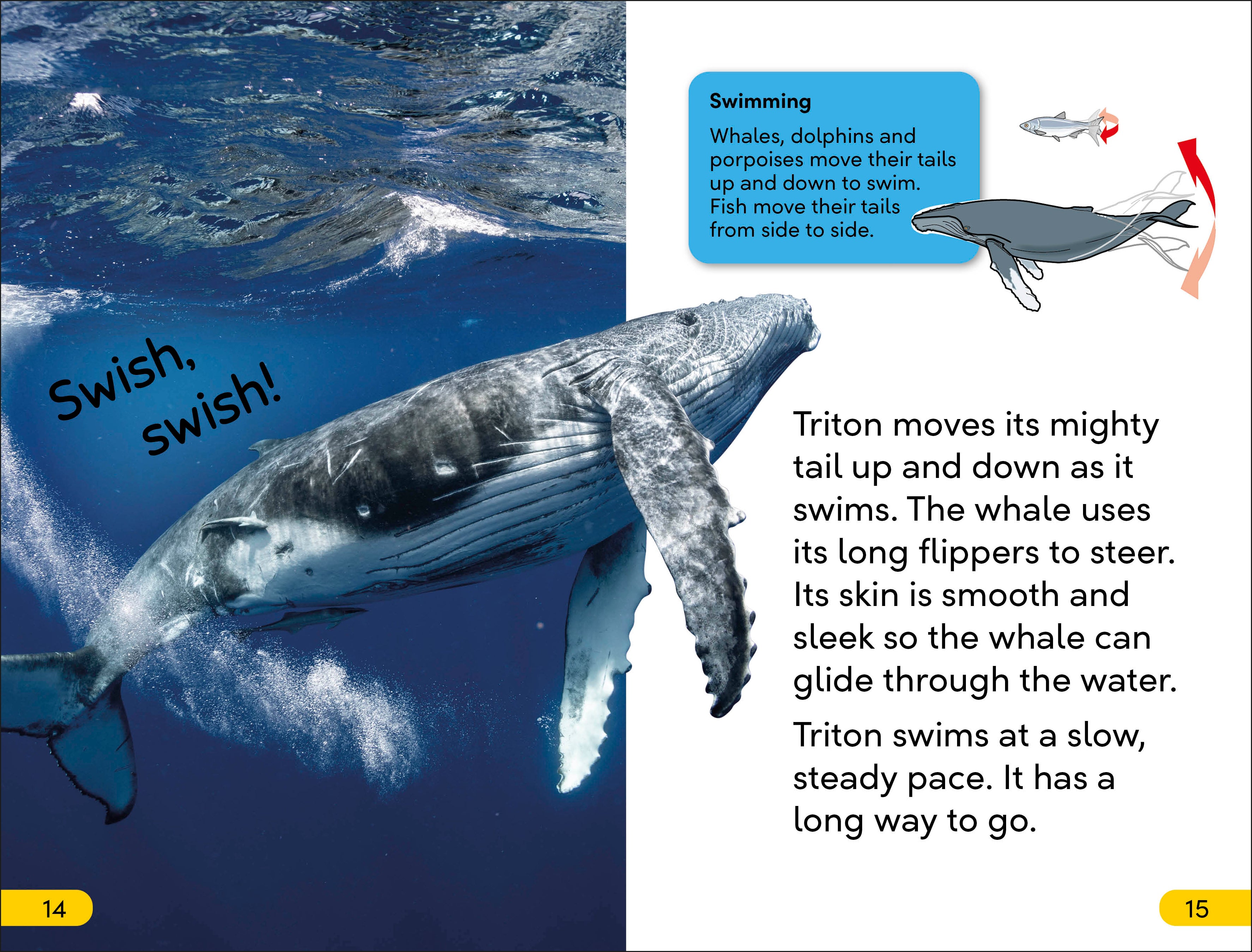 DK Super Readers Level 2 Journey of a Humpback Whale