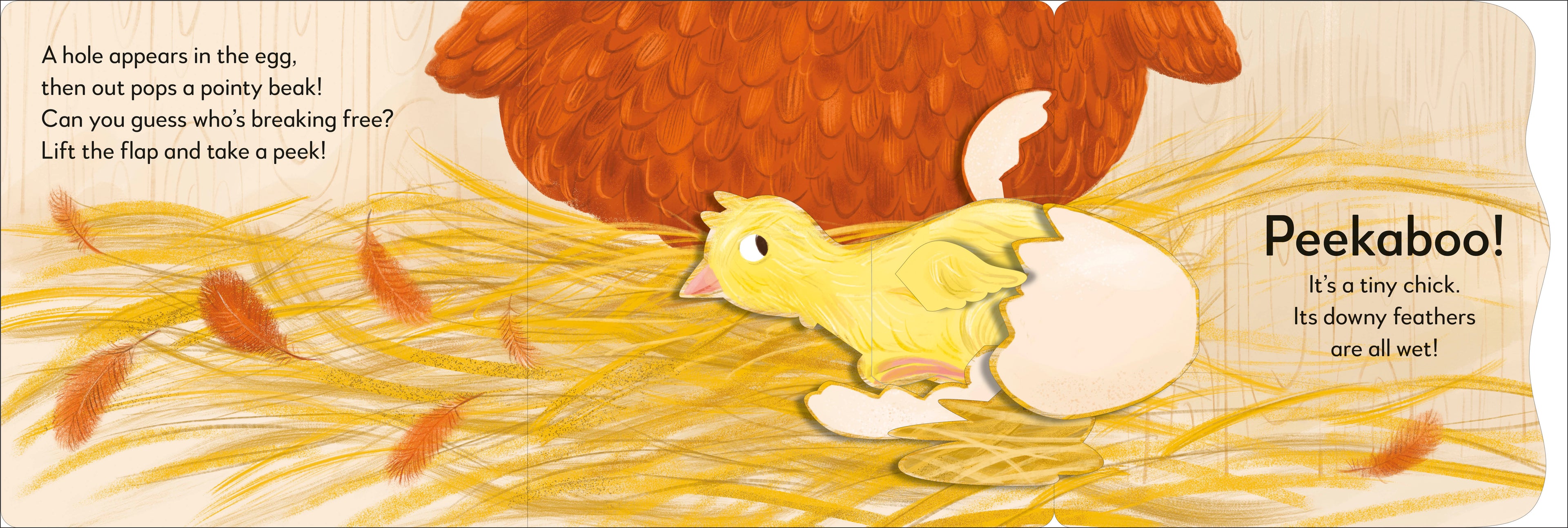 Pop-up Peekaboo! Chick